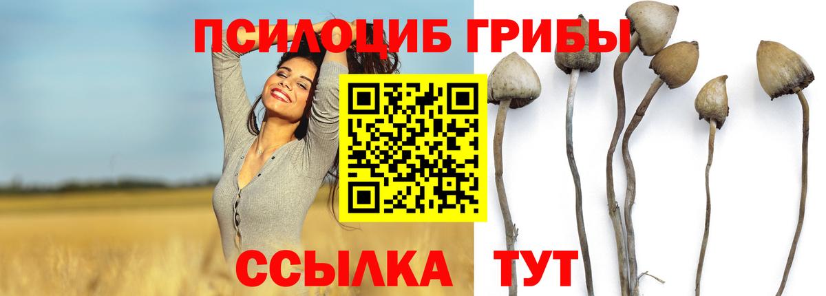 Галлюциногенные грибы мухоморы Кириши